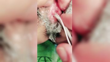 二零二三十二月十九_女儿学校过教师节