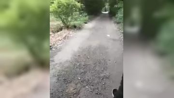 手机直播非常屌的90后白虎村姑和鲜肉级男主播户外野战太多蚊子了只好去人家的毛坯房里脱光了继续干 1V