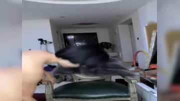 微信微拍精华合集,一大波超极女神捆绑私拍狂插白嫩逼逼