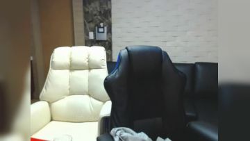 一种好像可以双飞的概念...2