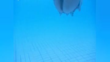 【VIP】【国产】精品强推！湖边极品美艳少妇人间精灵旅游度假外拍露出野战，景点上操了又拿着鸡巴吃 吃了又操