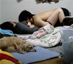 小男女互相抠逼 mp4