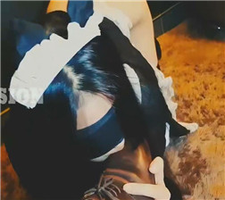 丝袜女仆的蹂躏2 mp4