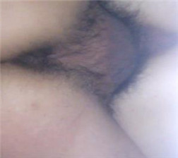 怒上黑森林2 mp4