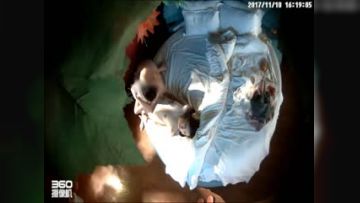 喷血推荐-蓝床房偷拍超清纯漂亮大学美女和男友约会开始2