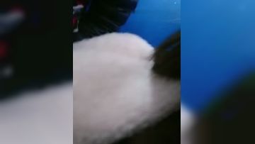 户外勾搭女神『女技师』牛逼沟引协防员 进男厕啪啪 被大鸡巴干的肚子疼