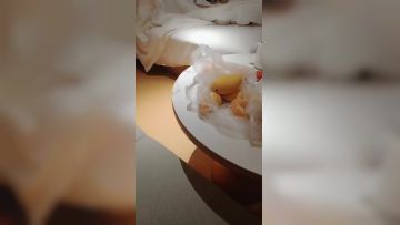 换妻极品探花约了一个极品