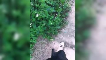 【在线】邻家小妹型女主播户外勾搭四眼仔野战刚插入蚊子太多只好去开房