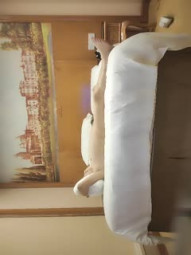 小马丶寻花五官非常精致甜妹小姐姐，半脱下裤子舌吻调情，特写手指摩擦扣穴，抬腿侧入猛操喊好硬