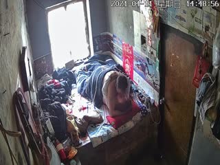 真实农村家庭摄像头TP大奶妇女躺炕上与收废品男人大白天偸情挺会草啊左右摆着干骚货叫声很爽方言对白