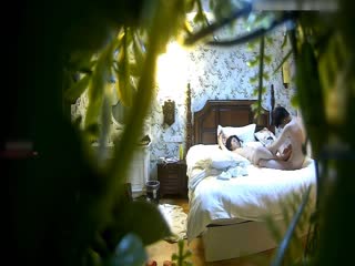 黑心老板偷拍 B毛旺盛的小美女和男友开房啪啪