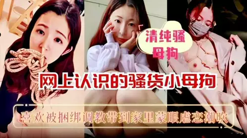 网上认识的骚货母狗喜欢被捆绑调教带到家里猛操