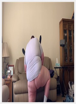 胖乎乎的爸爸熊繁殖 18 岁