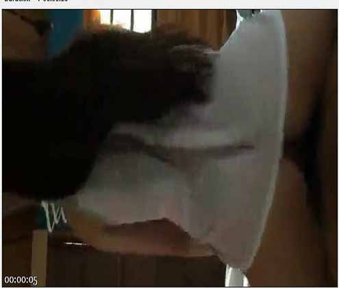 国内韩国精彩打炮手淫微拍精选5(24)