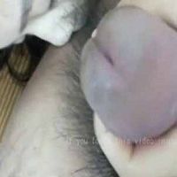 在家猛干刚下夜班还在睡觉的小女友露脸国语对白