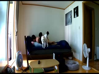 真实记录娇嫩美乳梦梦的奶卉闺蜜大茄子抽插嫩穴出...