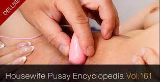 121621_572-paco 人妻小穴図鉴140 豪华版