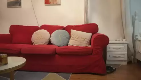 捶子探花_啪啪第二场哎撒娇的小少妇