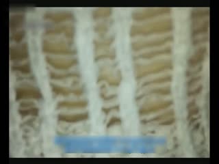 大神Dr哥（改名91模特女郎）最新顶级高端精品大片第十三部-170cm大长腿高跟女模第二弹（完整版）丨这期更精彩更给力，大长腿长相甜美，身材性感撩人～1080P超高清无水印！