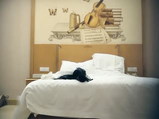 网约极品车展模特，大长腿高颜值女神，肤白如玉温柔体贴，激情啪啪娇喘连连