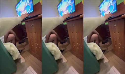 喷水的姐姐， 网吧里跳蛋调教姐姐直接在厕所打炮，水汪汪骚穴玩喷尿又湿又滑后入内射